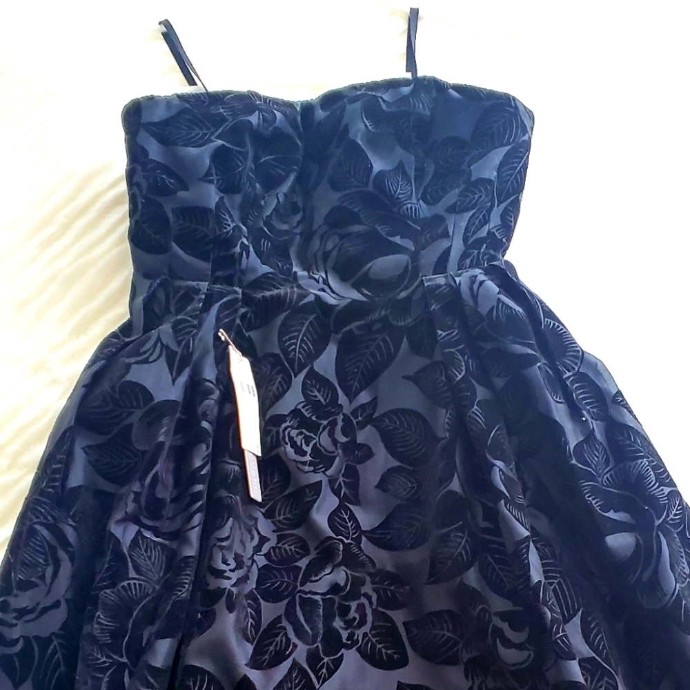 Anthropology Strapless Midi Dress - with optional straps